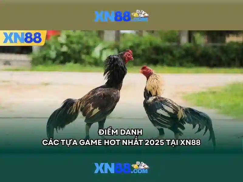 xn88 bet vip – tổng quan chủ đề và giá trị cốt lõi