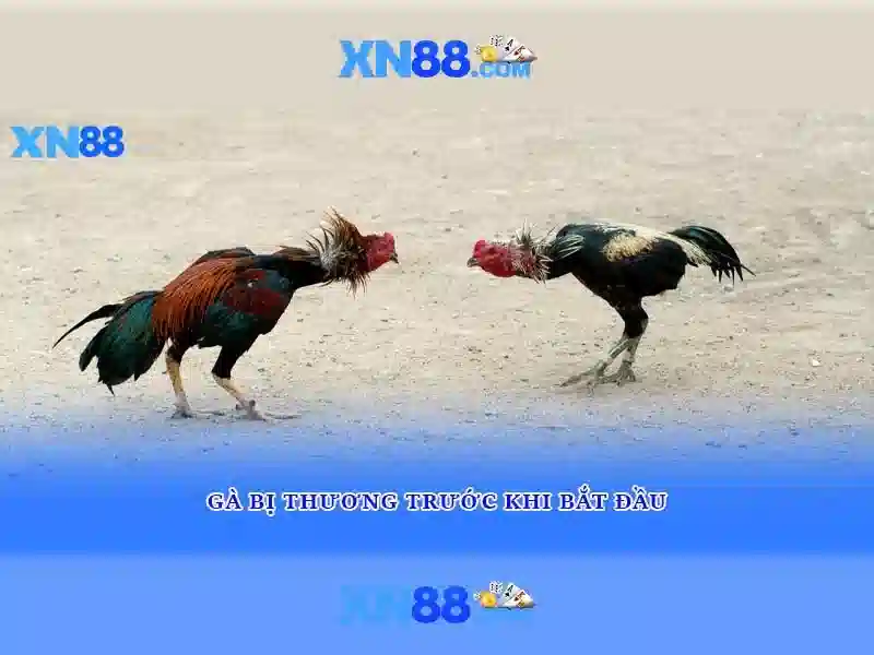 Nguồn gốc và sứ mệnh của xn88 nổ hủ