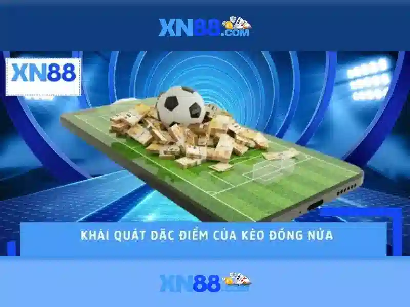 An toàn và cấp phép\n\n<h>Khuyến mãi và thanh toán</h>\n<li style=