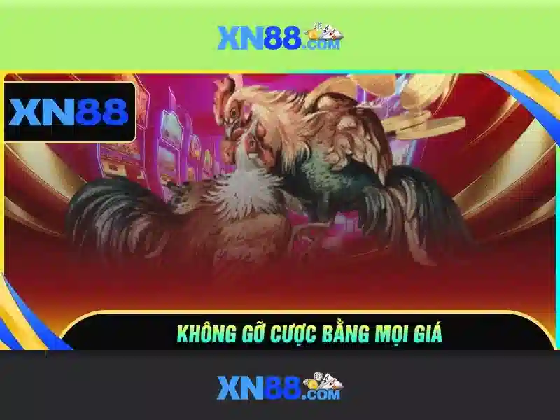 xn88. - Trải nghiệm thương hiệu và giải pháp cá cược