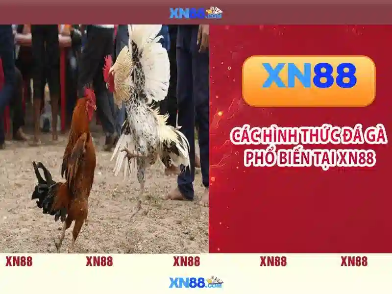 XN88 là gì? Khái niệm và tiềm năng