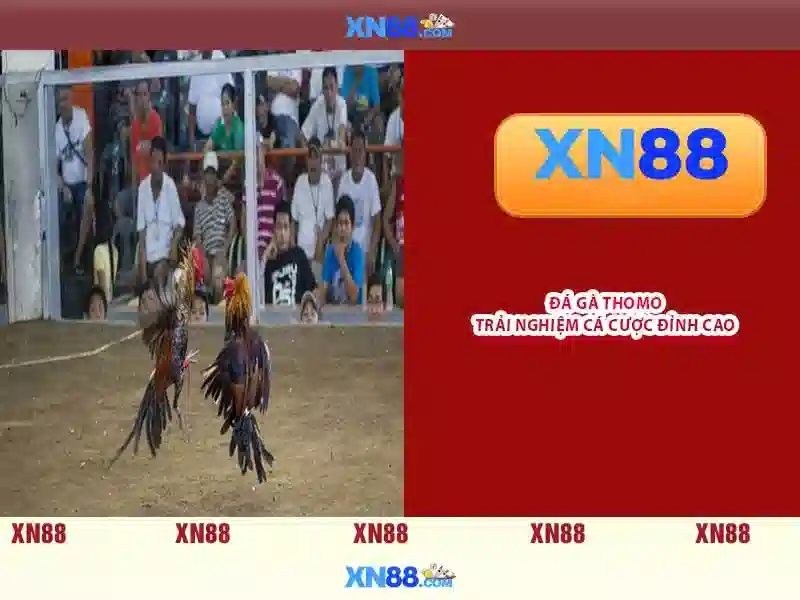 Sản phẩm và dịch vụ cốt lõi của tai xn88