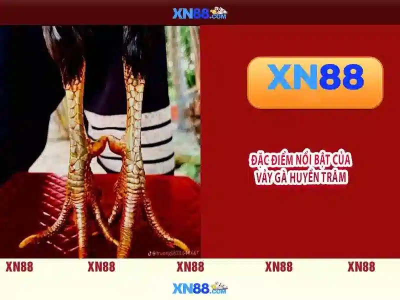 xn88 - Nền tảng giải trí và cá cược trực tuyến hàng đầu