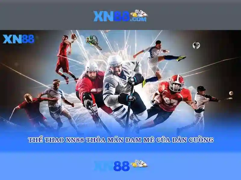 Tổng quan về xn88