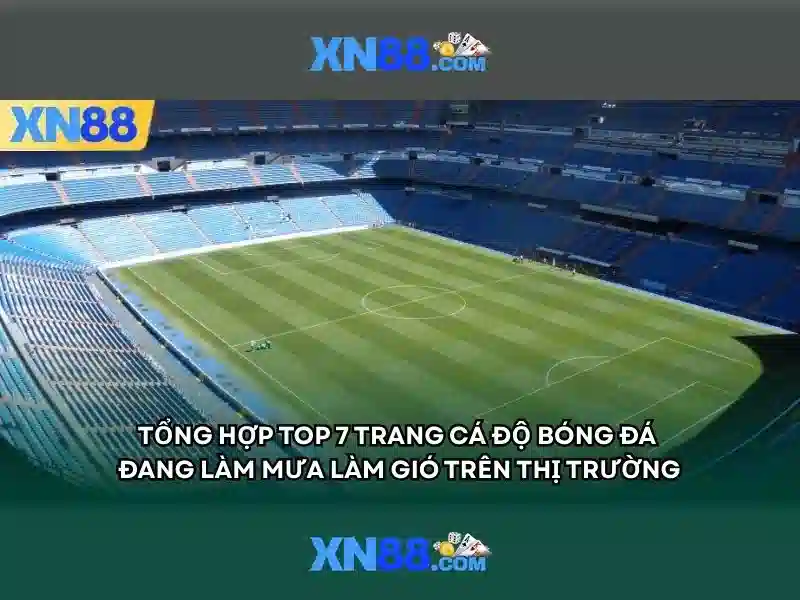 Hỗ trợ người dùng và an toàn\n<h>Kết luận</h>\n<li style=