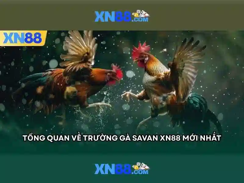 xn88 là gì và vai trò của nó trong thế giới số