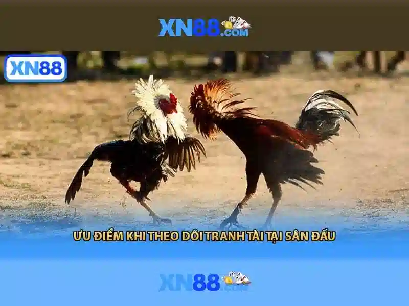 xn88 bshrf – Tổng quan và Giá trị Cốt lõi