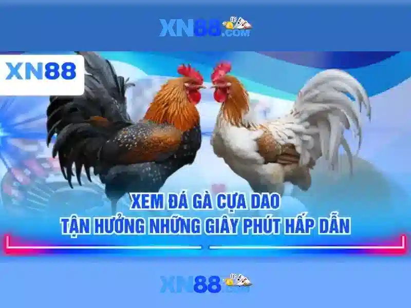 Các sản phẩm và dịch vụ của xn88