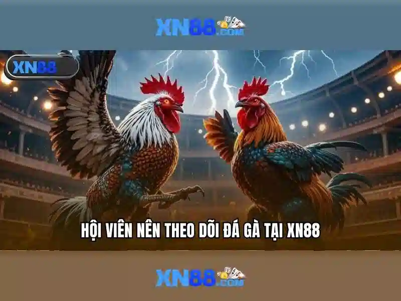 Các loại trò chơi và chức năng của xn88<li style=