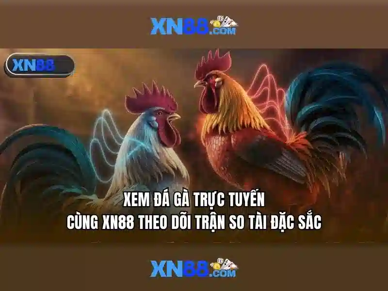 Ghi chú về xn88