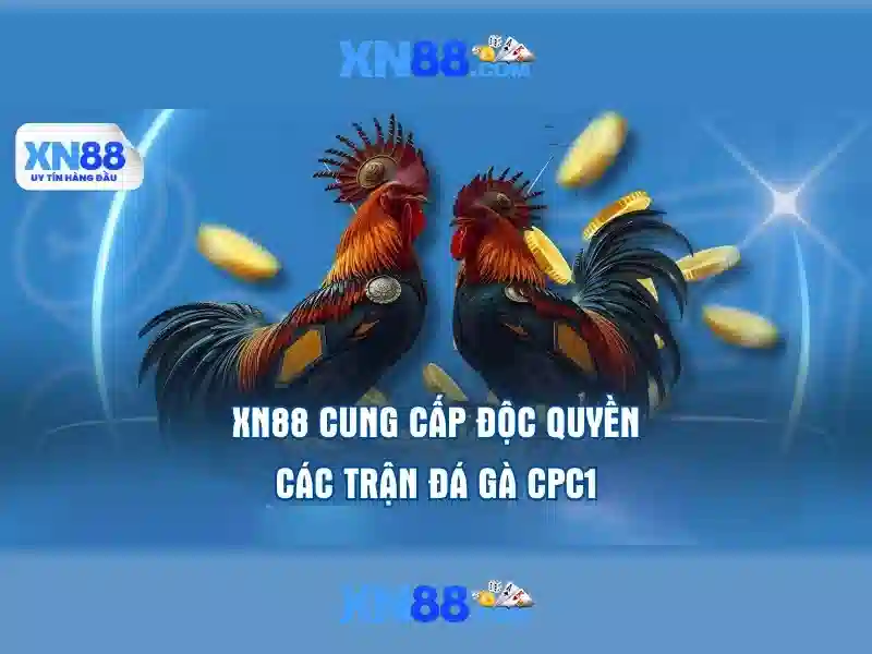 XN88: Nền tảng cược trực tuyến tin cậy và giải trí