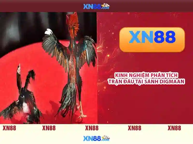 xn88: một nền tảng trò chơi và cá cược trực tuyến
