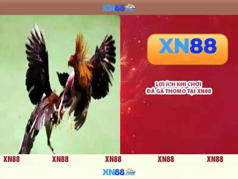 xn88: Tổng quan, tính năng và lời khuyên an toàn