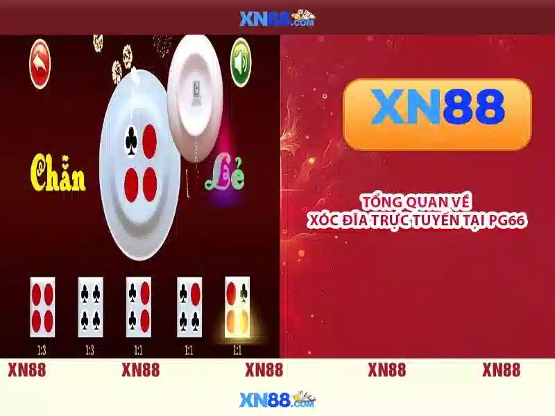 Giới thiệu về xn88