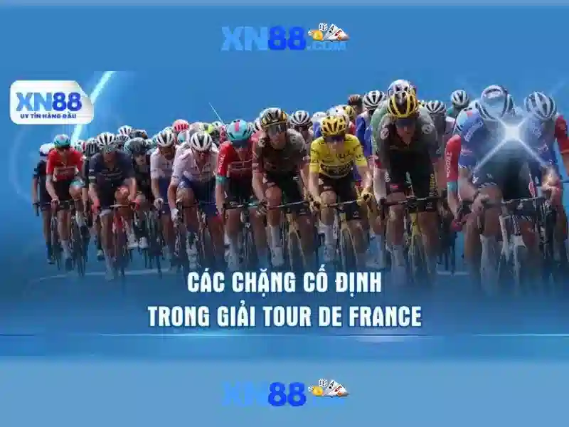 Phản hồi cộng đồng