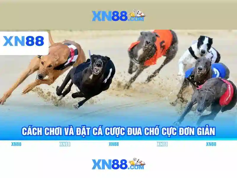 xn88 game – Trải nghiệm đỉnh cao và hành trình phát triển số