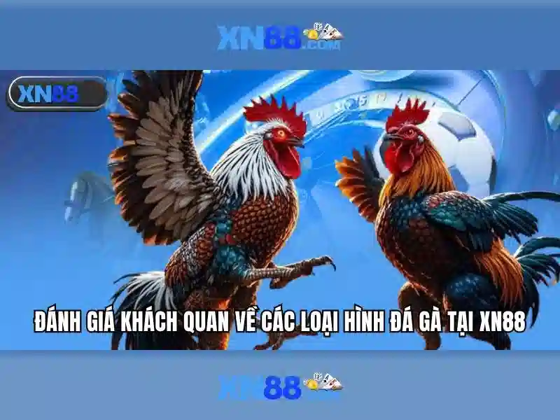 xn88 là gì – tổng quan thương hiệu và trải nghiệm