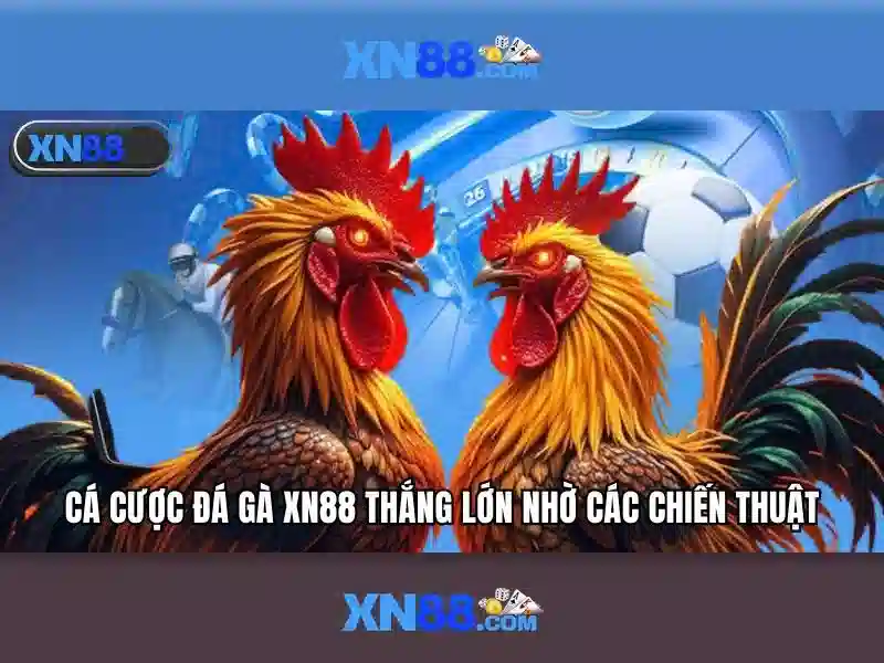 xn88: Đánh giá nền tảng cá cược trực tuyến