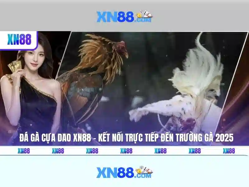 XN88: Nền tảng chơi game trực tuyến hàng đầu