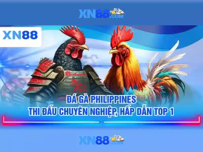 Các sản phẩm và ứng dụng của trang chủ xn88