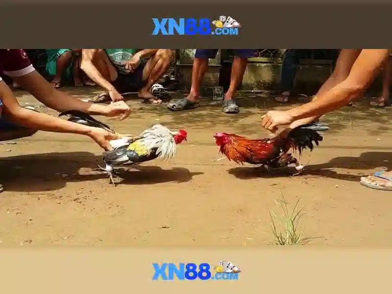 xn88 là gì và tại sao nó được biết đến