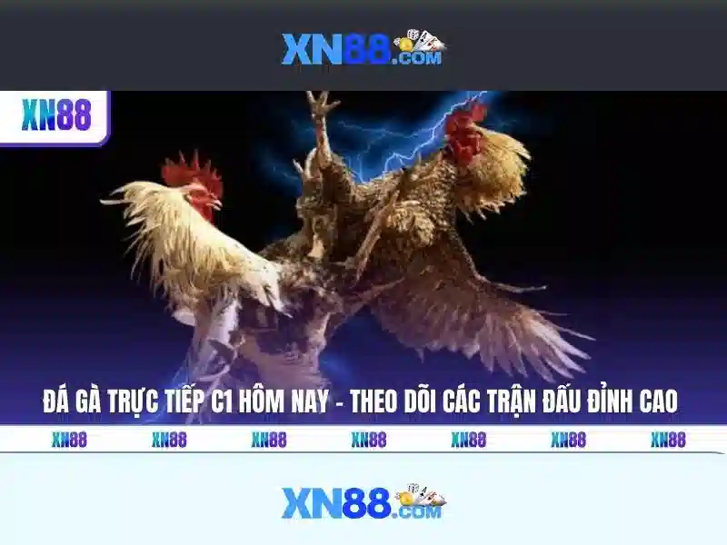 Hướng dẫn đăng ký và trải nghiệm\n<li style=