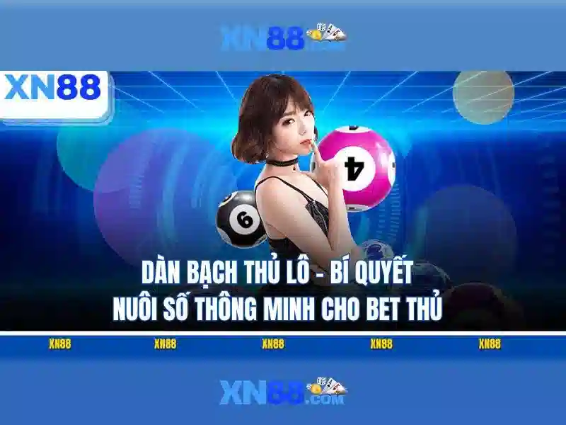 xn88: đánh giá và tổng quan