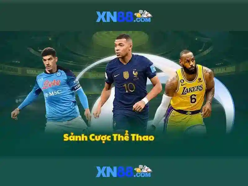 Trải nghiệm người dùng và phản hồi cộng đồng