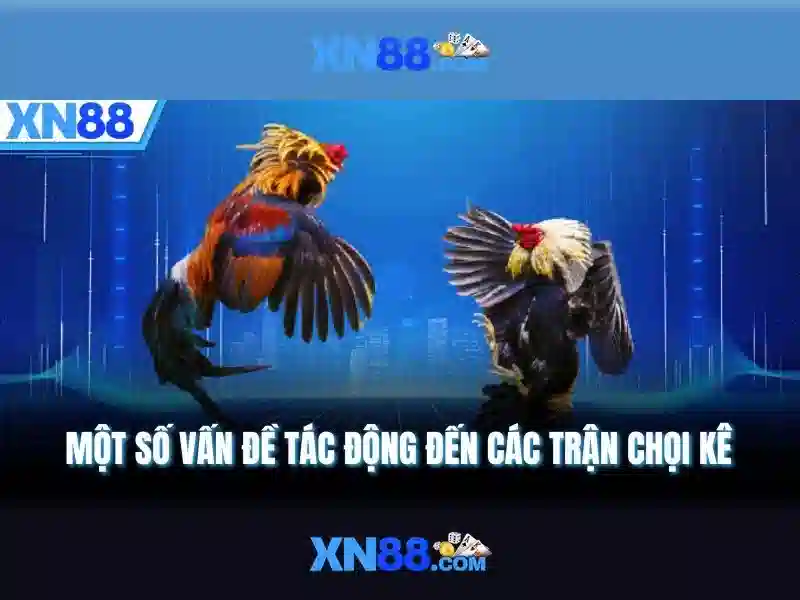 XN88: Nền tảng trò chơi trực tuyến nổi bật và những điều bạn cần biết