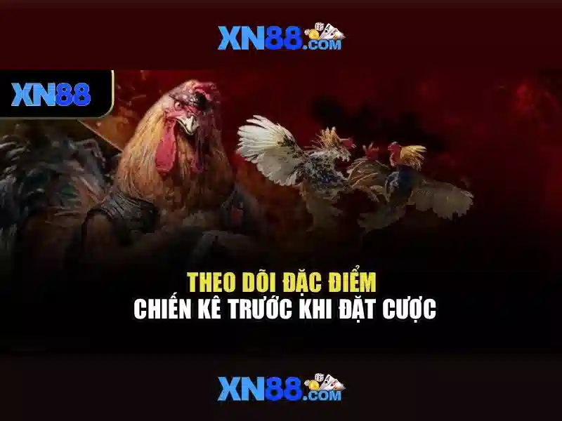 Nền tảng và dịch vụ\n<h>An toàn, thanh toán và hỗ trợ</h>\n<li style=