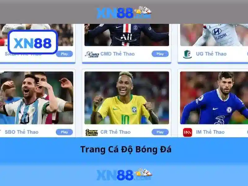 Tương tác và cộng đồng