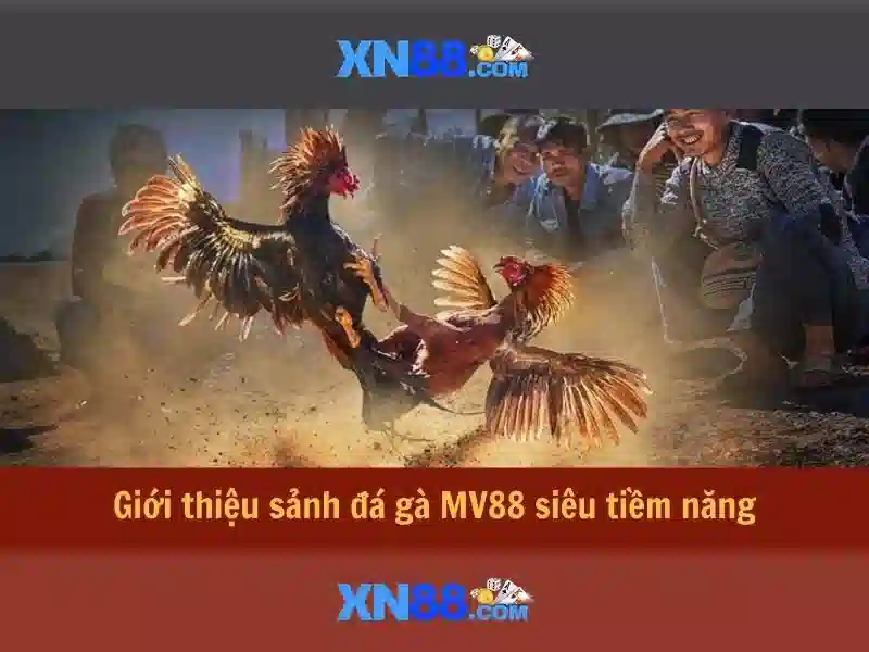 xn88: Tổng quan về nền tảng giải trí và cược trực tuyến