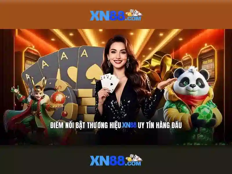 Nền tảng và chức năng