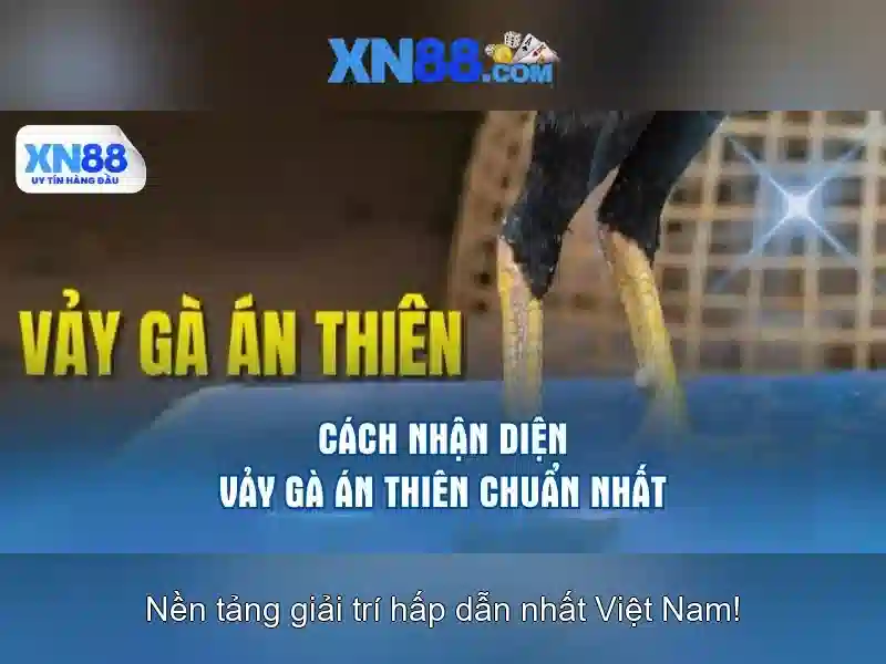 Sản phẩm và dịch vụ cốt lõi của xn88-game