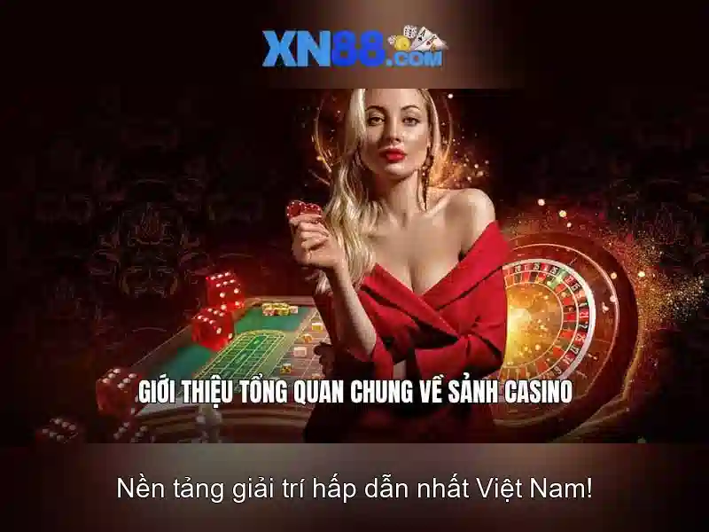 Các tính năng nổi bật