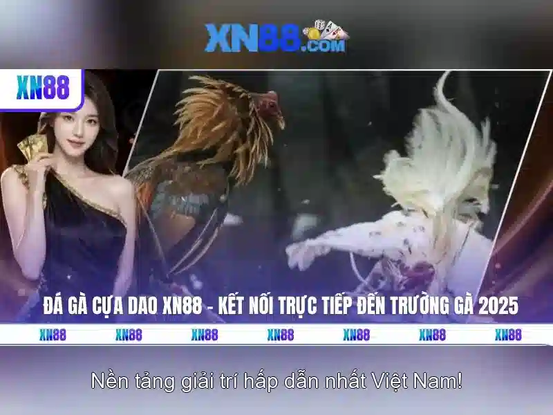Tính năng chính của XN88<li style=