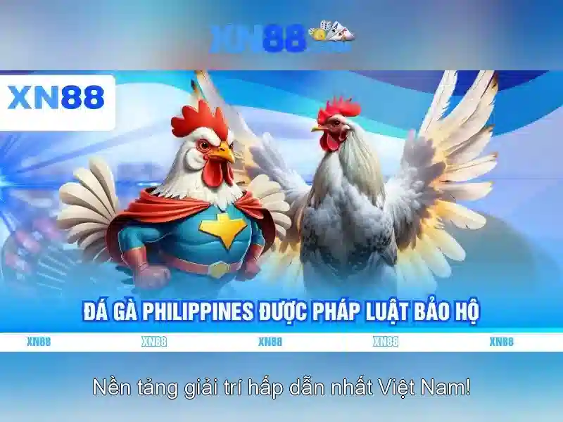 xn88: Đánh giá nền tảng cá cược trực tuyến và trải nghiệm người dùng