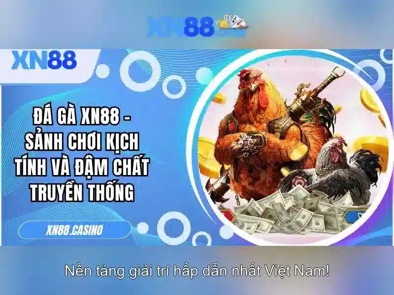 xn88: Nền tảng trực tuyến nổi bật và những điều cần biết