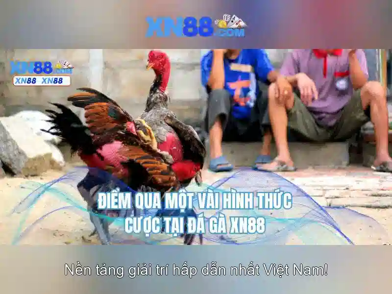 Các sản phẩm và dịch vụ