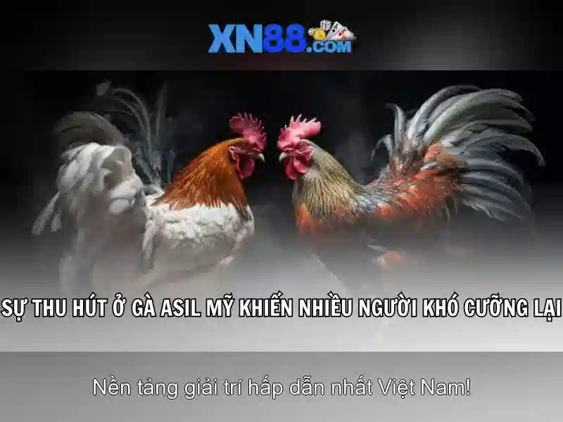 xn88 - Nền tảng casino trực tuyến và đánh giá tổng quan