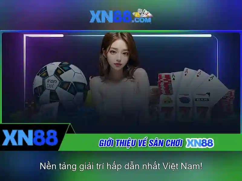  Hướng dẫn người dùng mới
