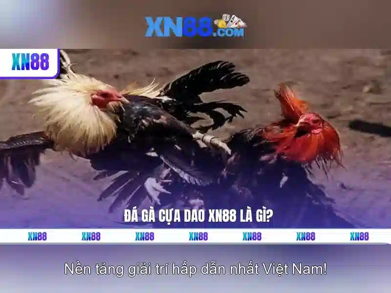 Dịch vụ và tính năng nổi bật