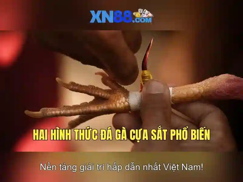 Các tính năng nổi bật