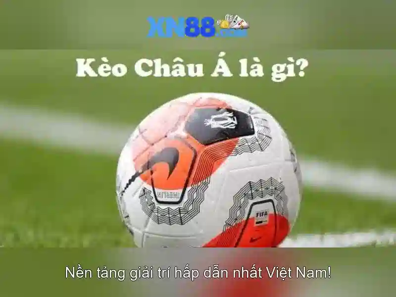 Thông tin tổng quan về xn88