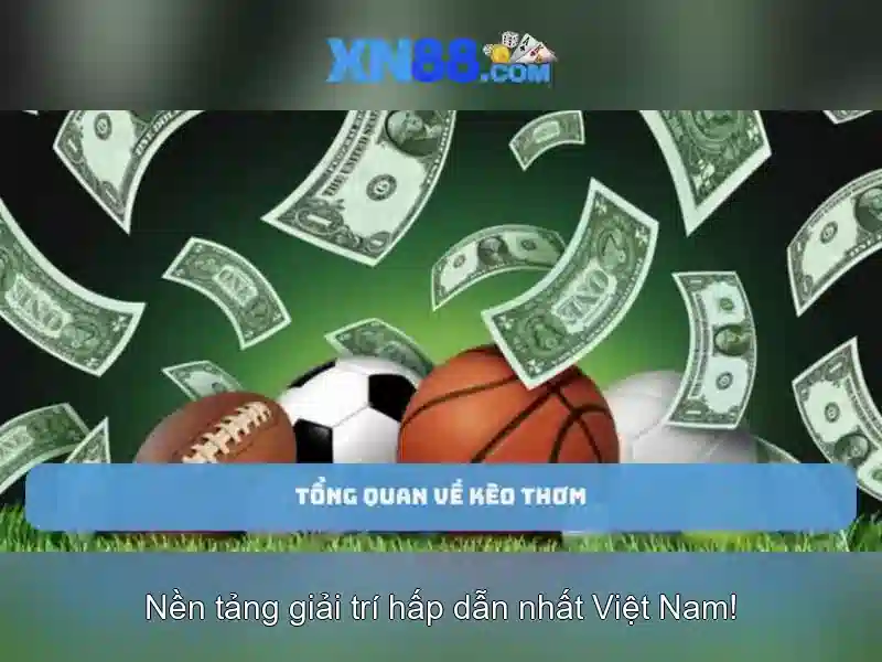 XN88: Tổng quan, đánh giá và hướng dẫn