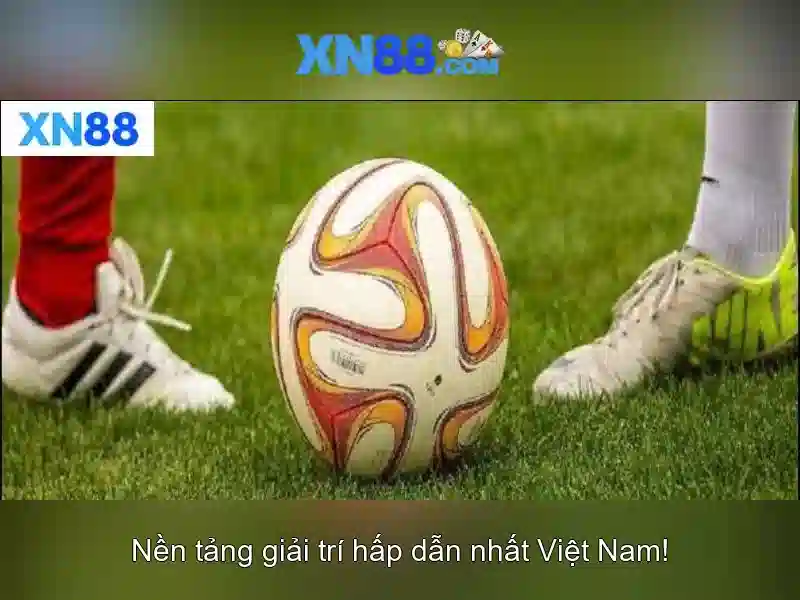 Nền tảng và trải nghiệm người dùng