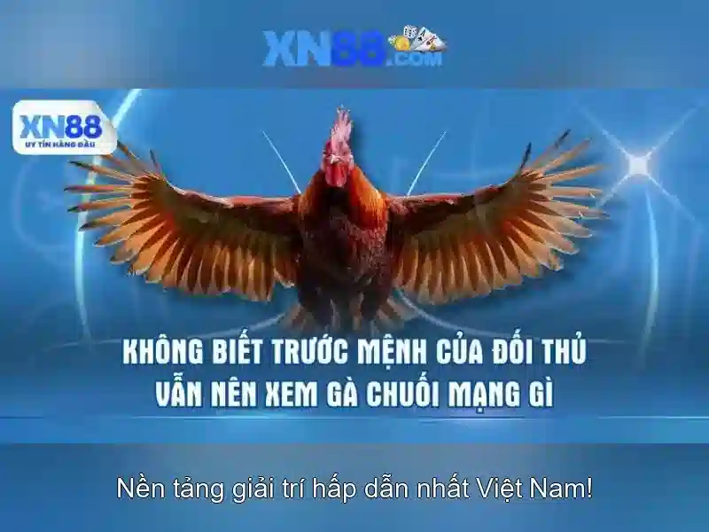xn88: Khám phá một nền tảng cá cược trực tuyến