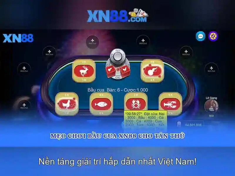 Trải nghiệm người dùng và tương thích