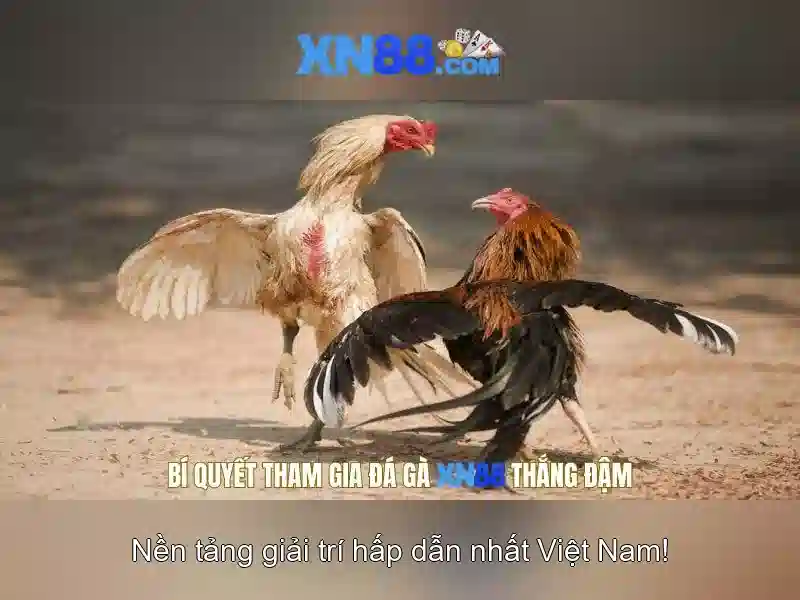 Xn88: Nền tảng trò chơi trực tuyến và cộng đồng