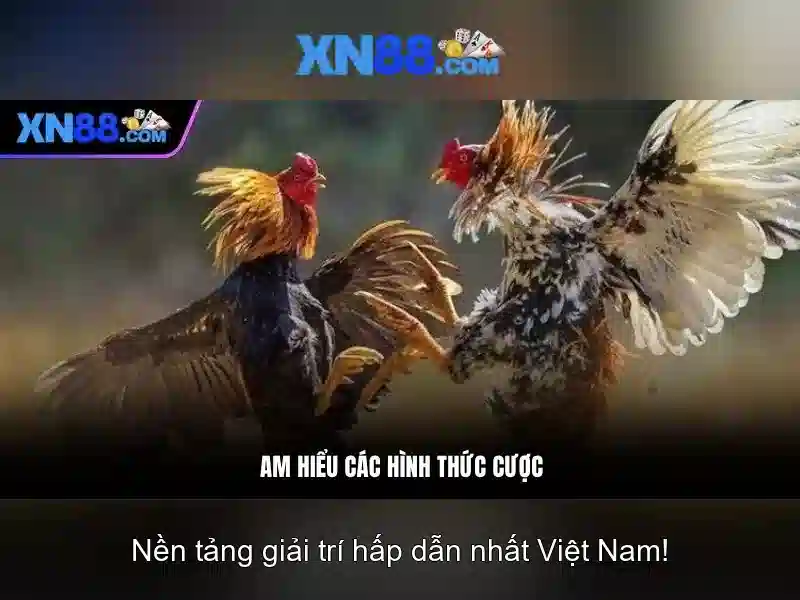 Các trò chơi nổi bật tại xn88